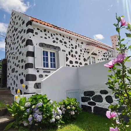 Vivenda Flores - Casa Hortensia Lomba  Екстер'єр фото